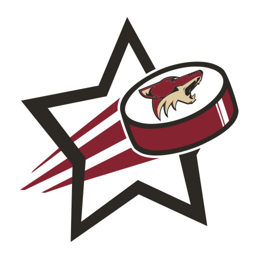 Arizona Coyotes Hockey Goal Star logo iron on paper